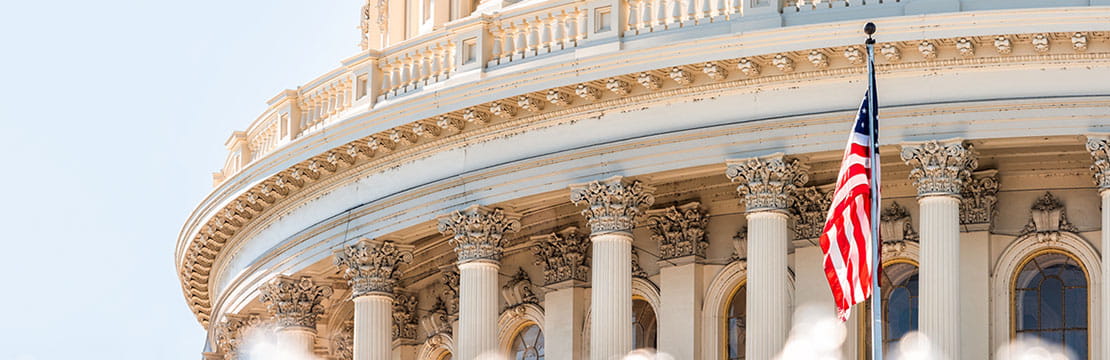 The flag of the United States of America flying in front of the capitol building blurred in the background.